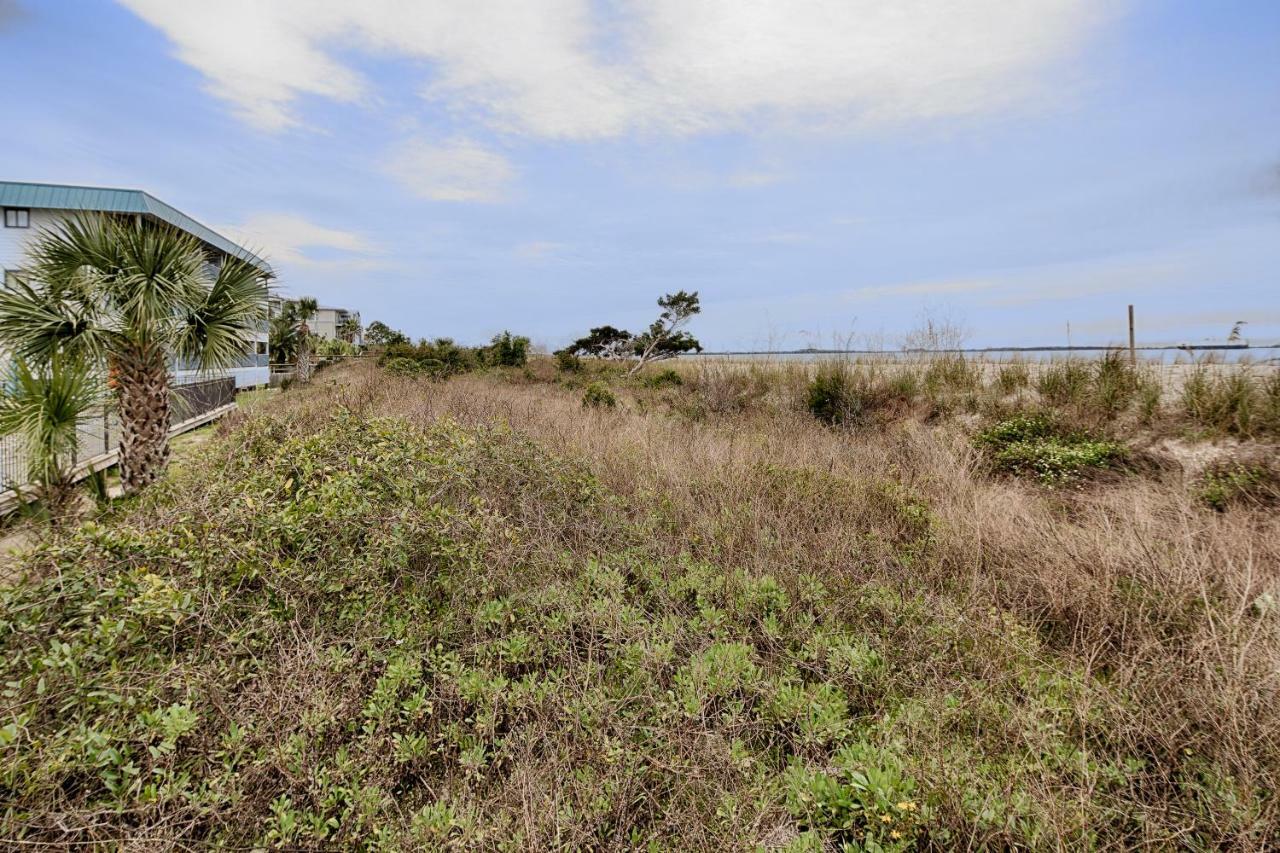 泰比岛Tybee Dreaming公寓 外观 照片
